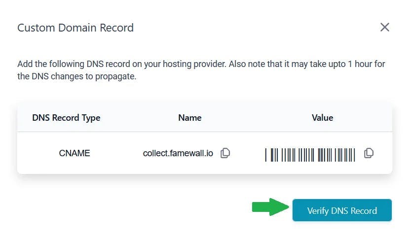 Verify DNS Record